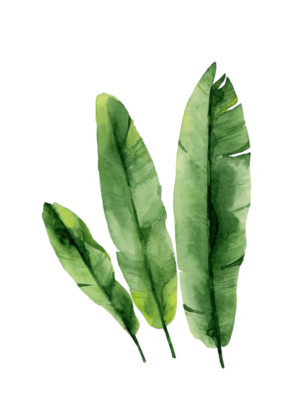 plante plakat med grønne bananblade tropisk