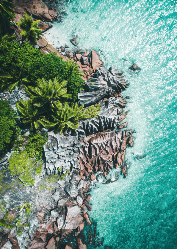 fotoplakat af eksotisk strand med blåt vand og palmer og klipper