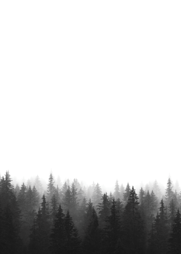fotokunst plakater af de nordisle skove med tåge