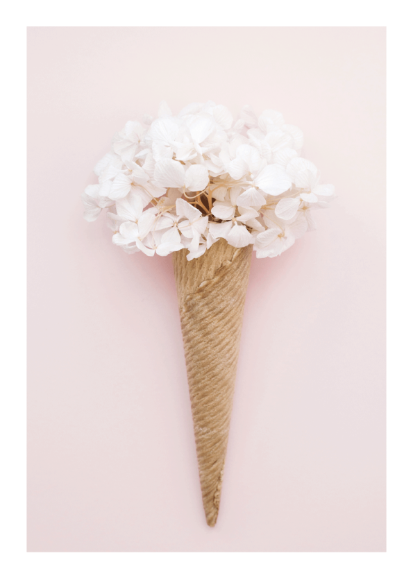 fotokunst plakater med is og blomster