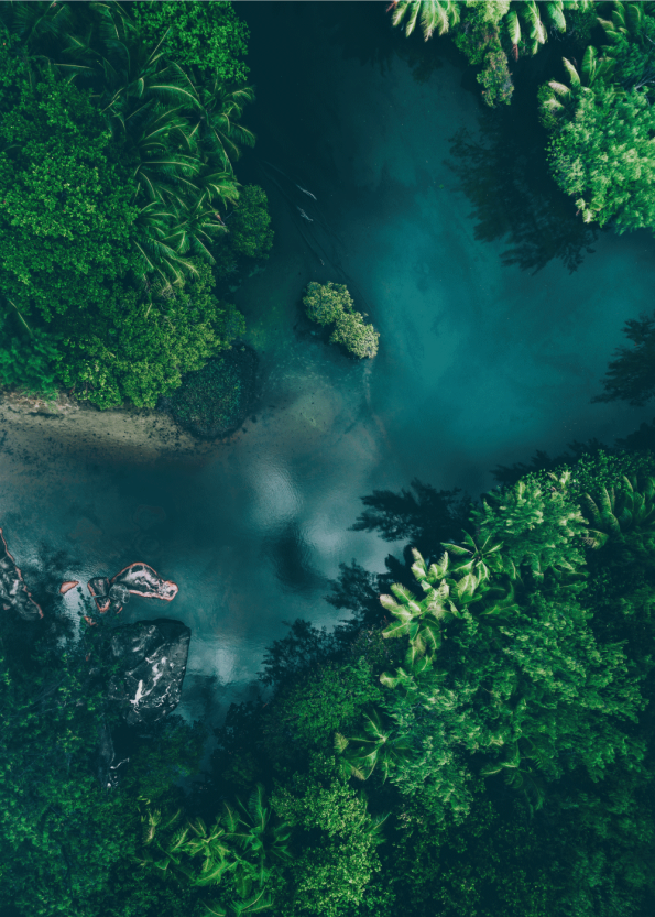 fotoplakat flotte tropiske omgivelser taget med drone