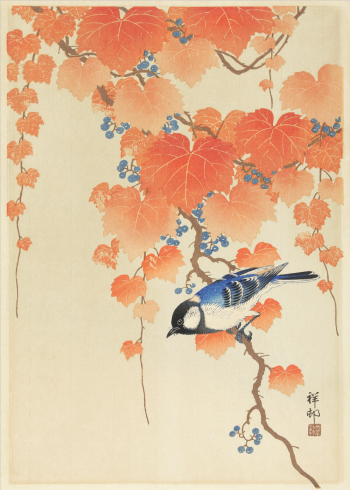 japanske kunst plakater med smukke farver og fugle
