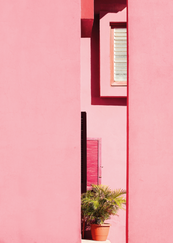 pink walls arkitektur plakat