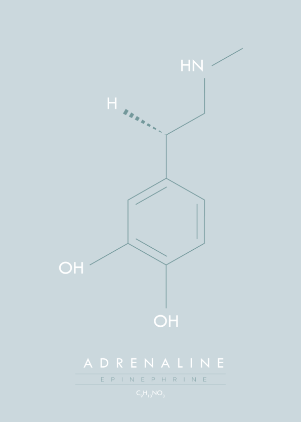 Molekyle adrenalin MO10009LB