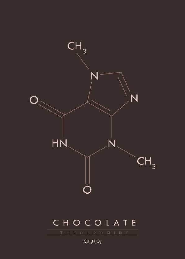 Molekyle chokolade MO10005BR