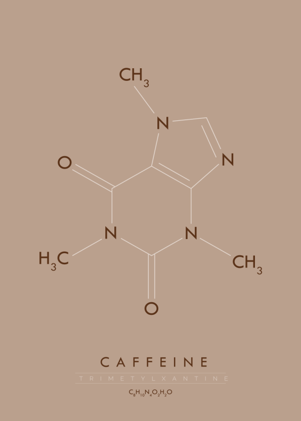 Molekyle koffein MO10006BR