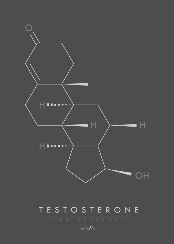 Molekyle testosteron MO10007GR