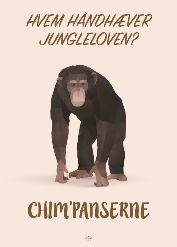 Ordspil plakat chimpanser HI00061BR