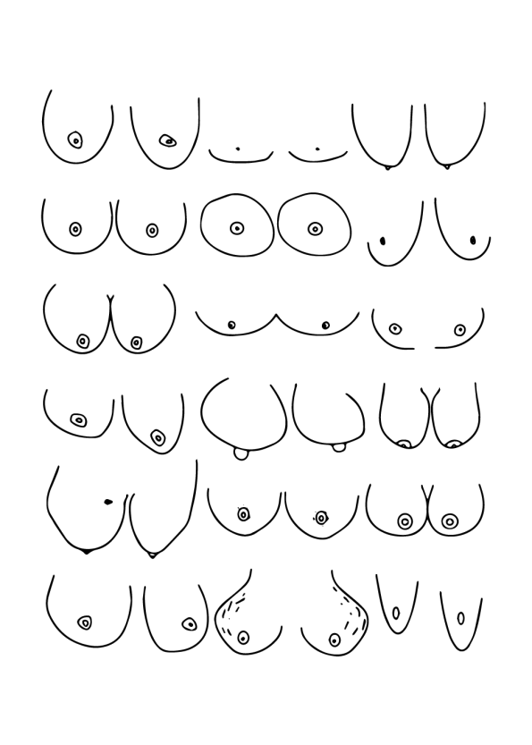 boobies plakat med forskellige slags bryster