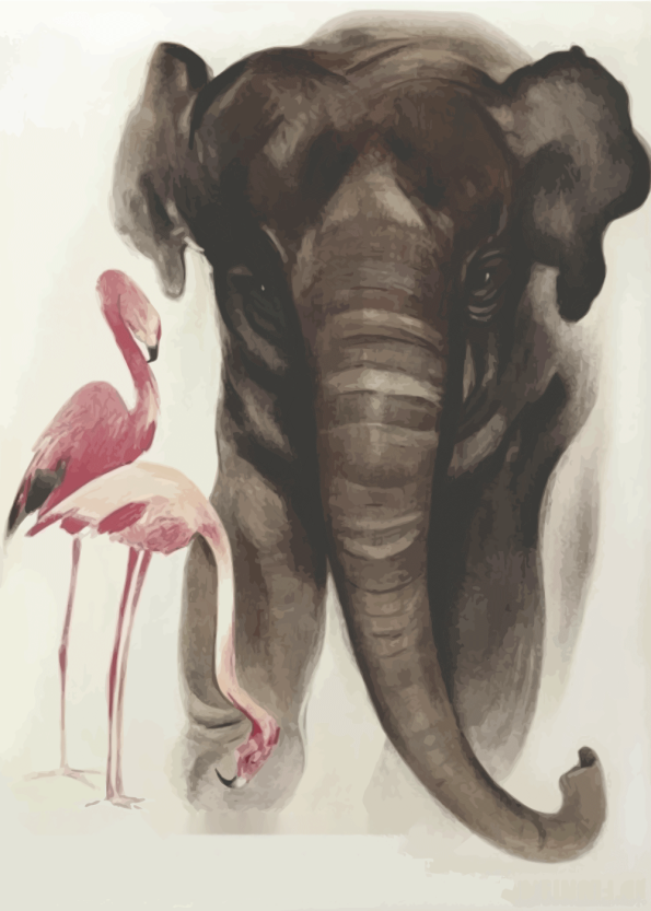 zoo plakater med elefanter og flamingoer