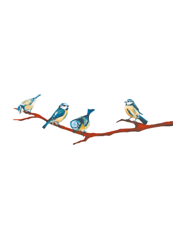 kunst plakater med fire blåmejser fugle
