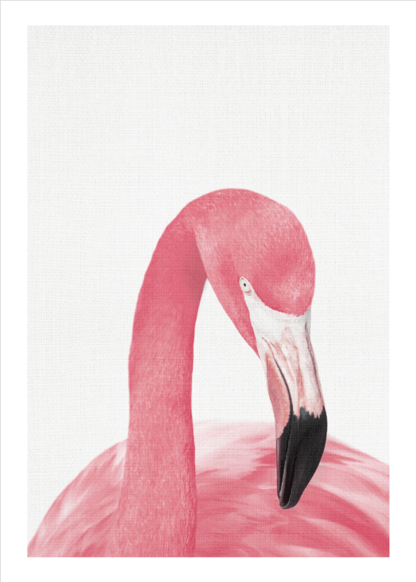 flamingo plakat eller kunstplakater i retro stil
