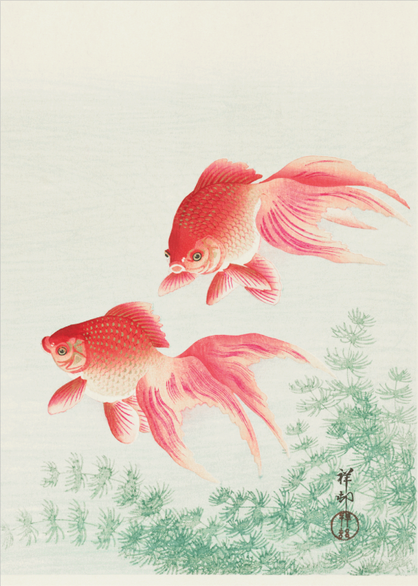 japanske kunst plakater med fisk
