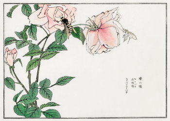 japanske kunst plakater med lyserøde blomster og bier