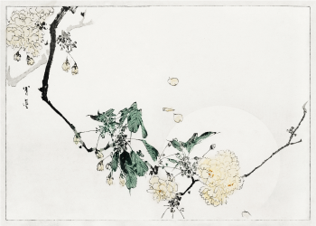 japanske kunst plakater med hvide blomster