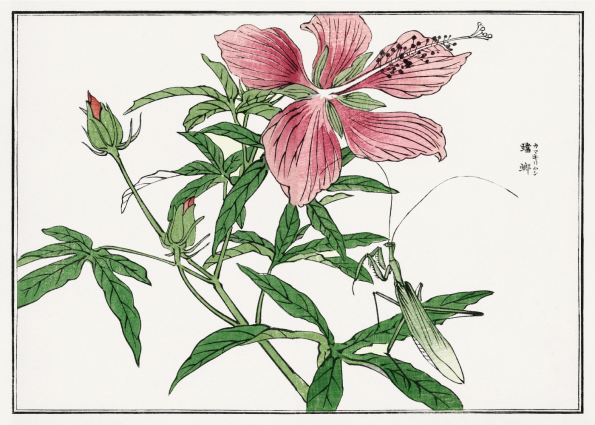 japanske kunst plakater med lyserøde blomster
