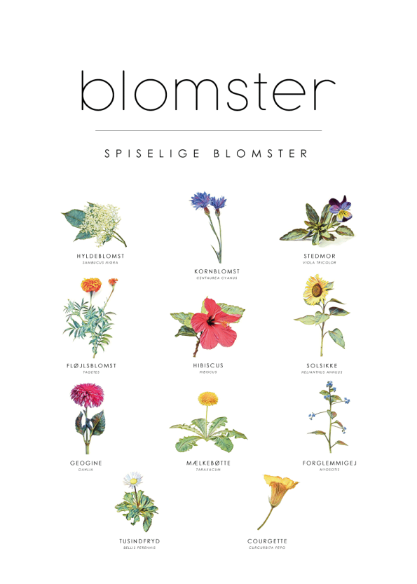spiselige blomster plakat guide