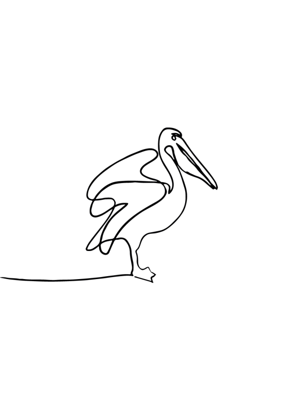 one line drawings med dyr og pelikaner