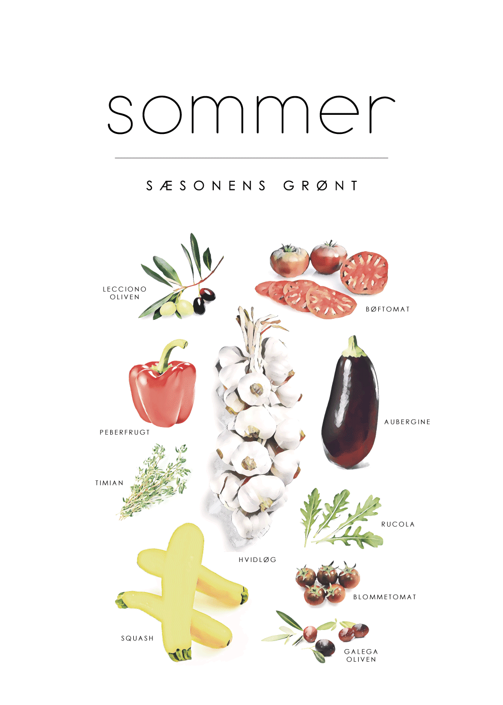 Sommer - Sæsonens grøntsager plakat | Praktiske