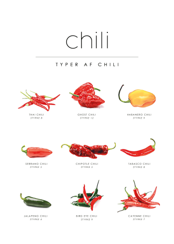 chili guide plakat til køkkenet