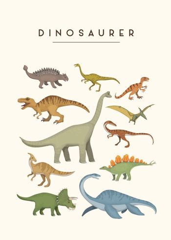 forskellige dinosaurer i matte farver med rå hvid baggrund