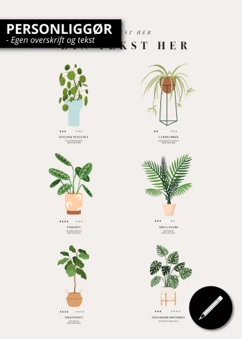 Plante_guide_6_planter